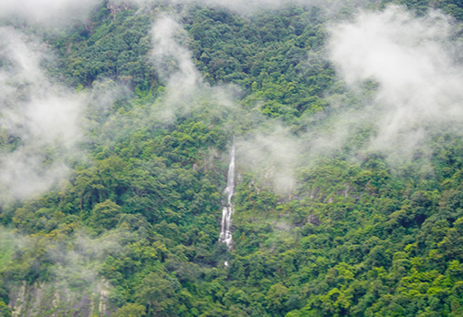 Motorcycle Tour in Kerala